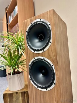 FYNE AUDIO F502 S - prírodný orech (NOVÉ) - 5