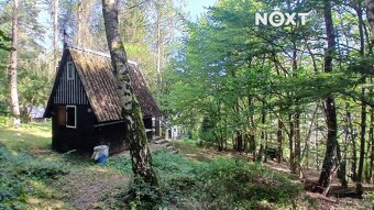 Prodej pozemek Lesy, 1228㎡ - 5