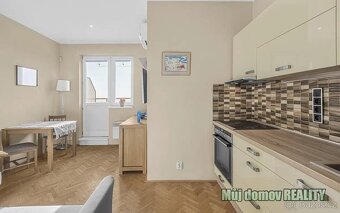 Pronájem zařízeného bytu 1+kk s terasou, Sobotecká, Praha - - 5