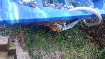 Vířivka bez čerpadla - 5