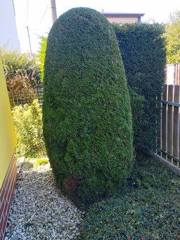 Дом и сад - 5