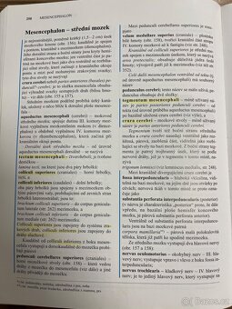 Anatomie 3 - Čihák - 5