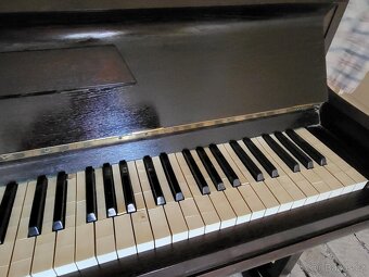 Piano Rous - daruji za odvoz - 5