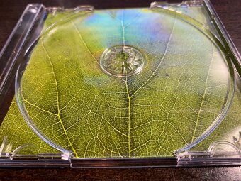 DVD SINGL: DEPECHE MODE: FREELOVE, 2001, JEWEL CASE - 5
