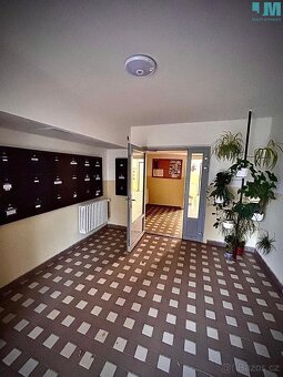 Pronájem bytu 1+1 41 m², Třebíč - Nové Dvory, ev.č. 01906 - 5