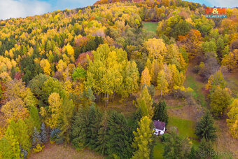 Prodej lesa, 3004 m², Skalice u České Lípy - 5