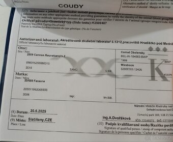 Coudy po Cannon Reuvekamp's Z - 5