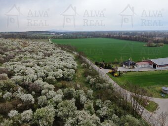 Exkluzivně nabízíme k prodeji ovocný sad o výměře 1850 m². - 5