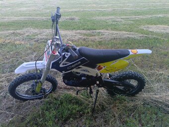 BUFFLER D125Y - PITBIKE - 5