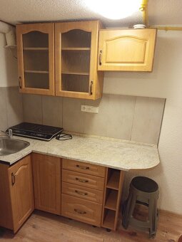 Byt 1+1 (cca. 45 m2)+ zahrada (700 m2), Slovany, Plzeň - 5