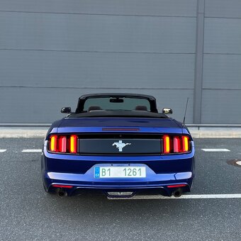 Ford Mustang Convertible 3,7 V6 // 29 000km - 5