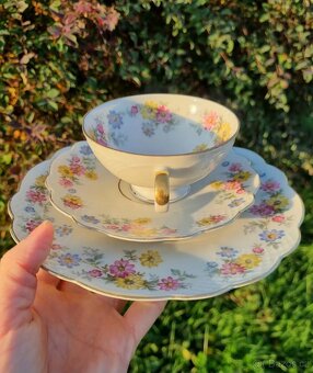 Starožitná porcelánová sada, Německo Zeh Jchecze - 5