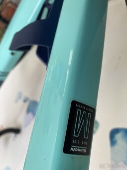 Gravel Bianchi - 5