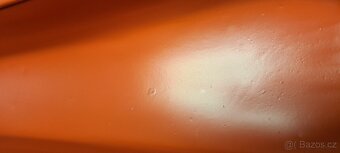 Pionýr blatník - 5