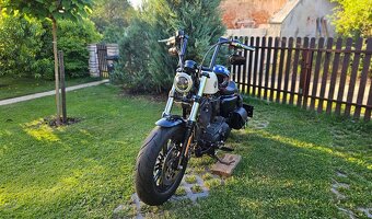 Harley Davidson XL 1200X Forty-Eight 2017 - 5