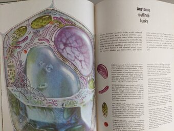 Fritss W Went - Rostliny, květiny, flóra, encyklopedie SLEVA - 5