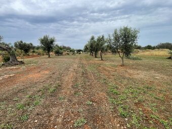 Prodám zahradu 4 284 m² s domkem vhodným k dostavbě Itálie - 5