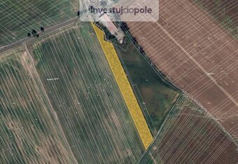 Prodej ovocného sadu v k.ú. Šardice - 5