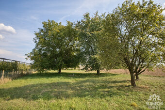 Prodej zahrady 3229 m², Sušice - 5
