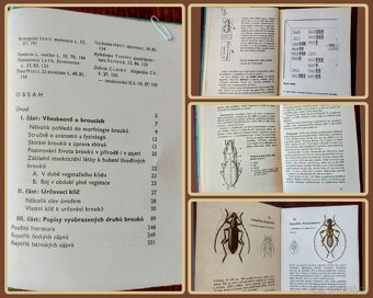Atlas brouků (kapesní) - 5