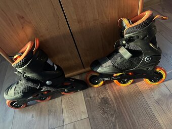 K2 Trio LT 100 - 5