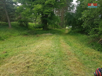 Prodej vodní plochy - rybník, 13.432 m², Luhov u Toužim - 5