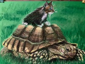 obrázky suchým pastelem - 5