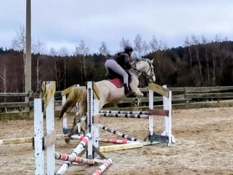 Hodná čtrnáctiletá klisna ČT po Majáles (A1/1) - 5