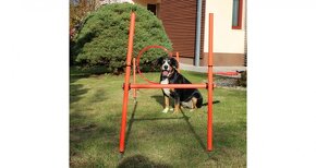 Dog Trainer agility překážky pro psy - 5