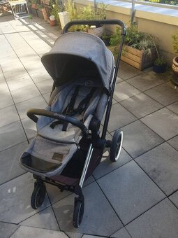 Kocarek CYBEX Gold - 5
