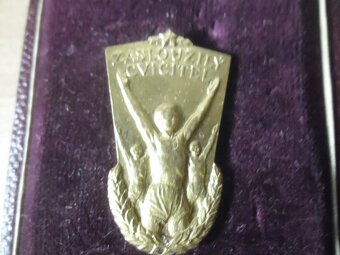odznak - Zasloužilý cvičitel ,číslován, originál - 5