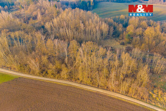 Prodej louky, 4637 m², Rudoltice - 5