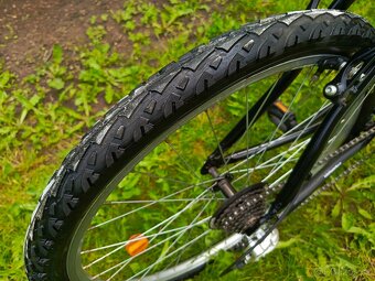 Leader Fox Factor - 5