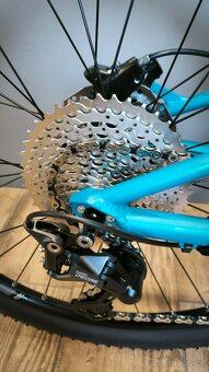 MRX Barbus Face 26 2025 - 5