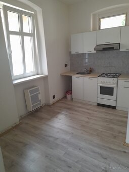 Pronájem 1+1 40 m2 - 5