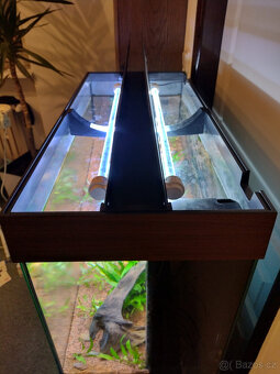 komplet akvárium Juwel - 5