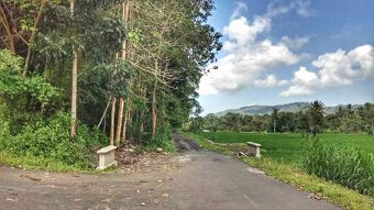 Prodej stav. pozemku na ostrově Bali - Indonésie - 5