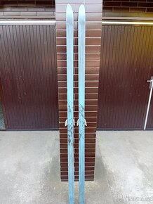 Běžky Artis Nordic 860 210cm - 5