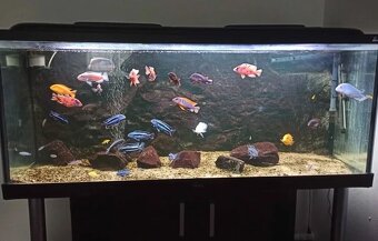 Velký akvarijní set DIVERSA dálkové ovládání - 5