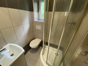Pronájem bytu cihla 3+KK + 2xsklep, dílna, zahrada - 5