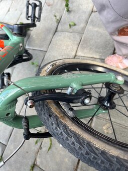 ACADEMY, vel. 16 - 5