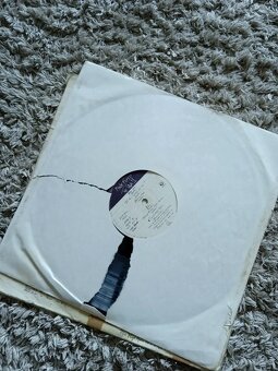 LP - Pink Floyd: The Wall - 5