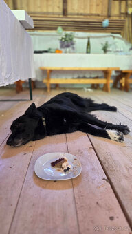 SVATEBNÍ MÍSTO V PŘÍRODĚ A PRO PŘÍRODU - 5