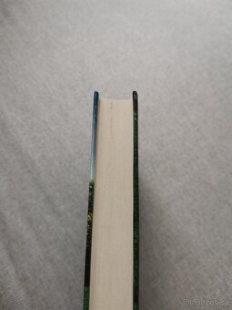 Prolhané městečko - Diane Chamberlain - 5