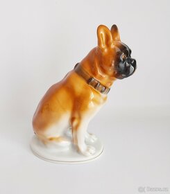 Starožitná porcelánová figura buldočka - Lomonosov Petrohrad - 5