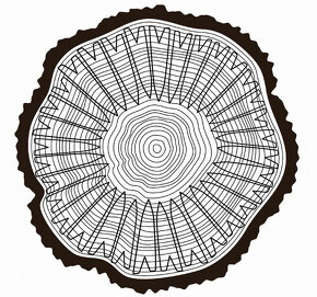 Štípaný smrkový šindel - 5