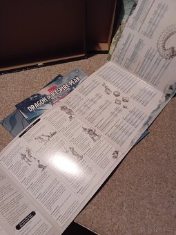 D&D - 5