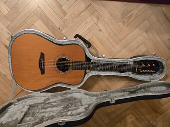 Furch D23CR9strun - 5