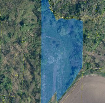 Pozemek u Trnobran, okr. Ltm, přes 7.800 m2 za 250.000 Kč. - 5