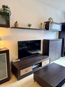 Krásná obývací stěna - 5